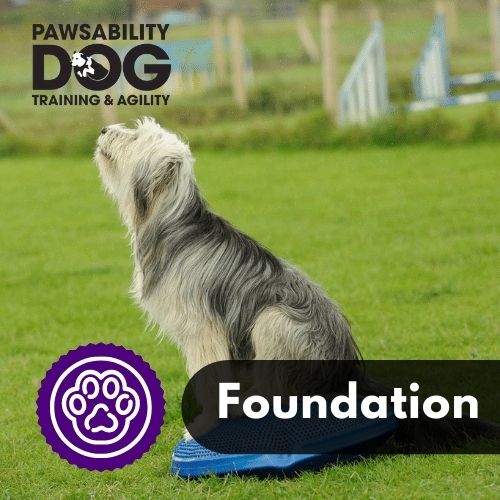 Agility foundation hot sale