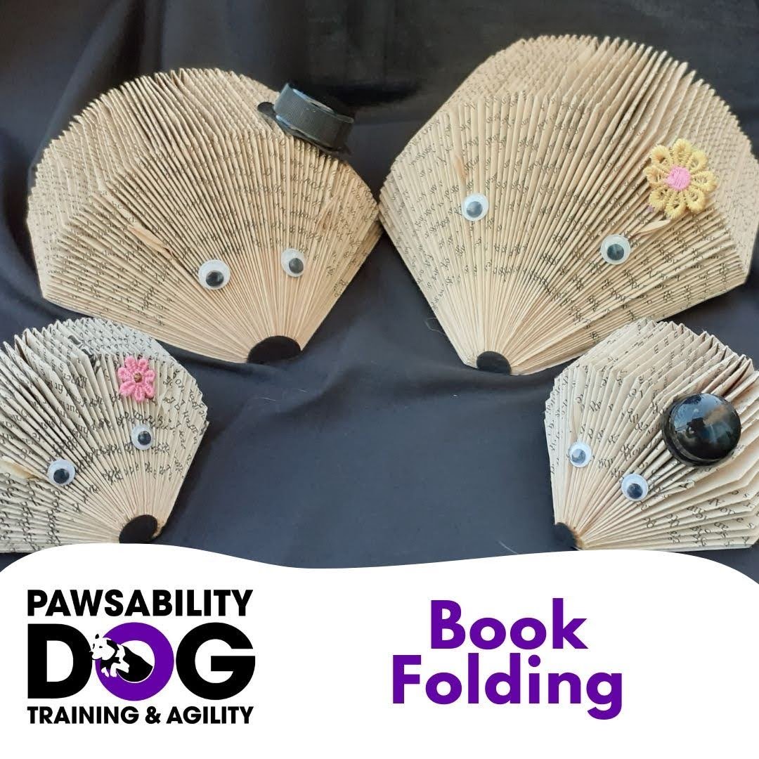 Book Folding