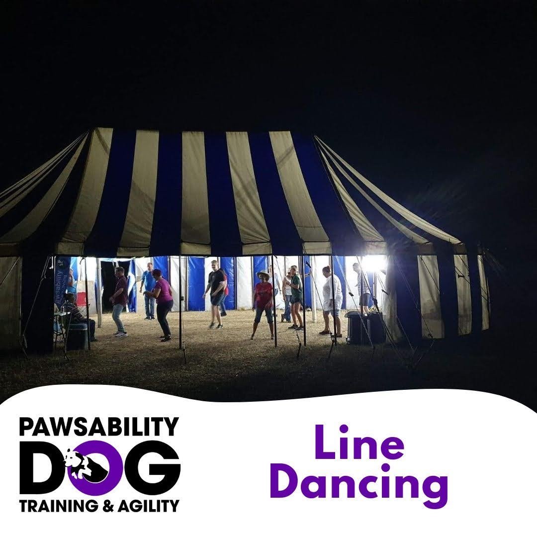 Pawsability 2024 dog training