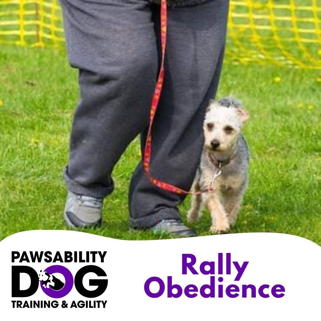Rally Obedience