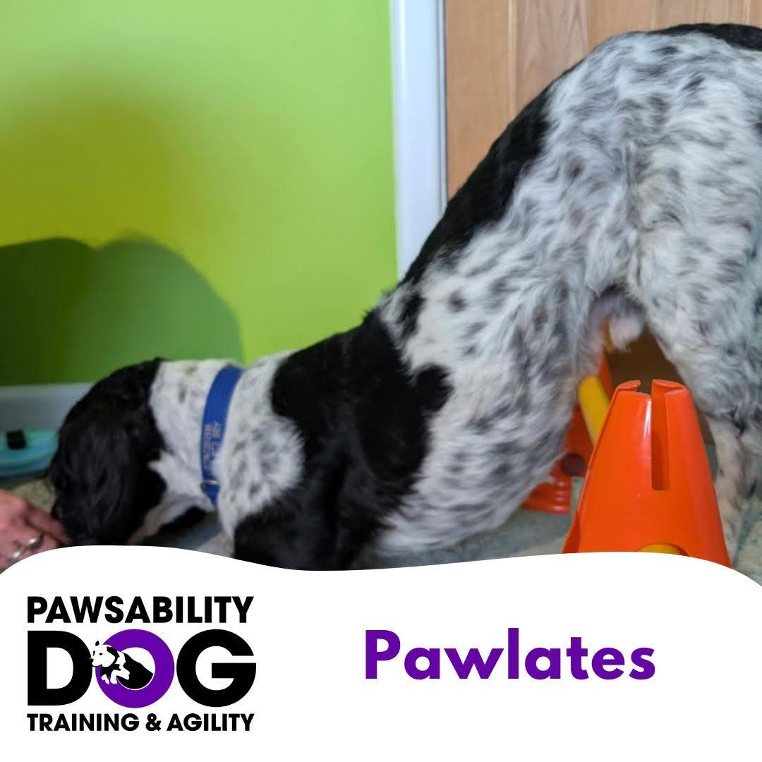 Pawlates - Friday